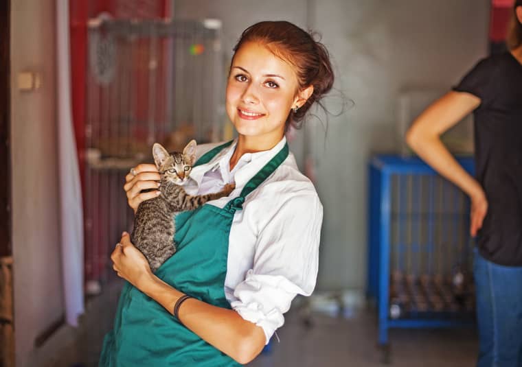 Travailler dans un refuge animal