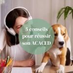 Nos 5 conseils essentiels pour obtenir son attestation l'ACACED