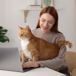 Formation ACACED CPF : comment financer votre prparation en ligne ?