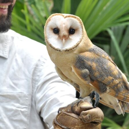 formation soigneur animalier
