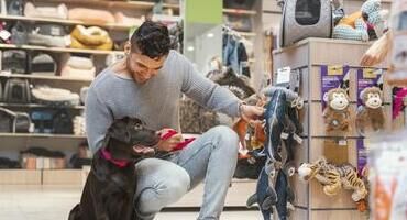 vendeur en animalerie
