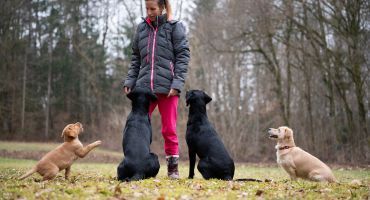 éducateur canin
