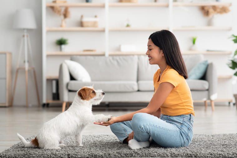 Photographie d'une femme qui duque son chien