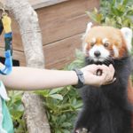 efm metiers animaliers