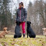 educateur canin efm