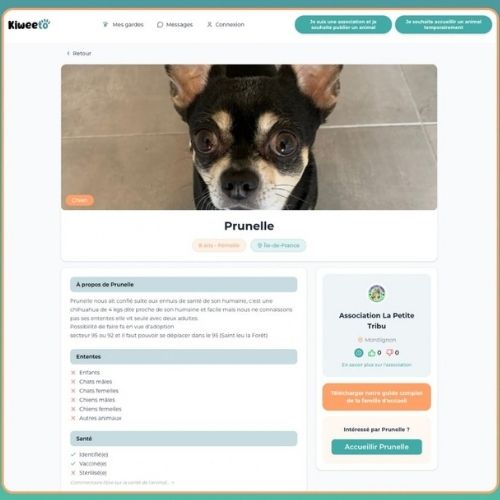 Annonce d'adoption de l'application Kiweeto